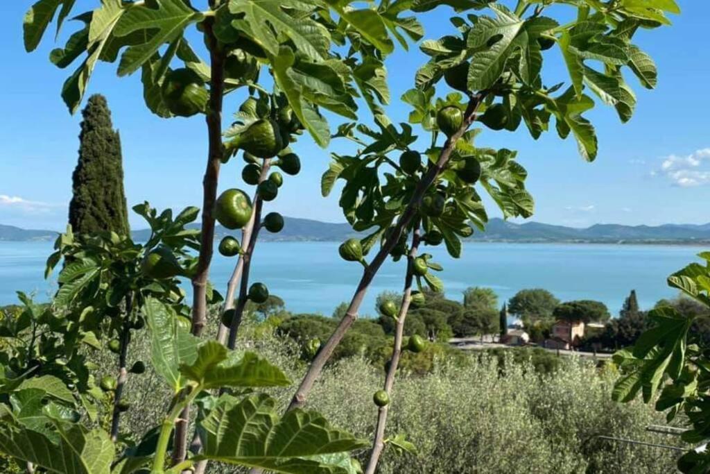 Bellavista La Tua Romantica Vacanza Sul Trasimeno Castiglione del Lago Extérieur photo