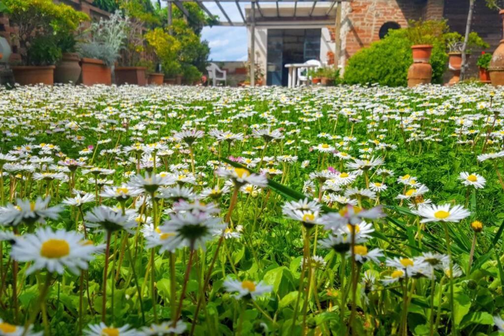 Bellavista La Tua Romantica Vacanza Sul Trasimeno Castiglione del Lago Extérieur photo