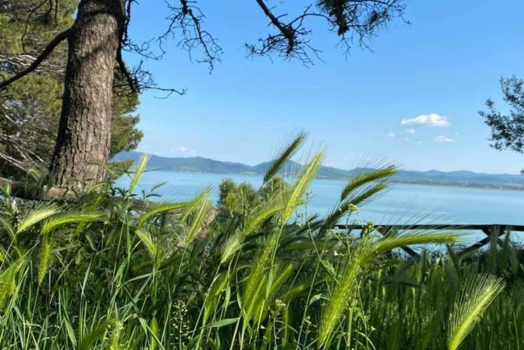 Bellavista La Tua Romantica Vacanza Sul Trasimeno Castiglione del Lago Extérieur photo