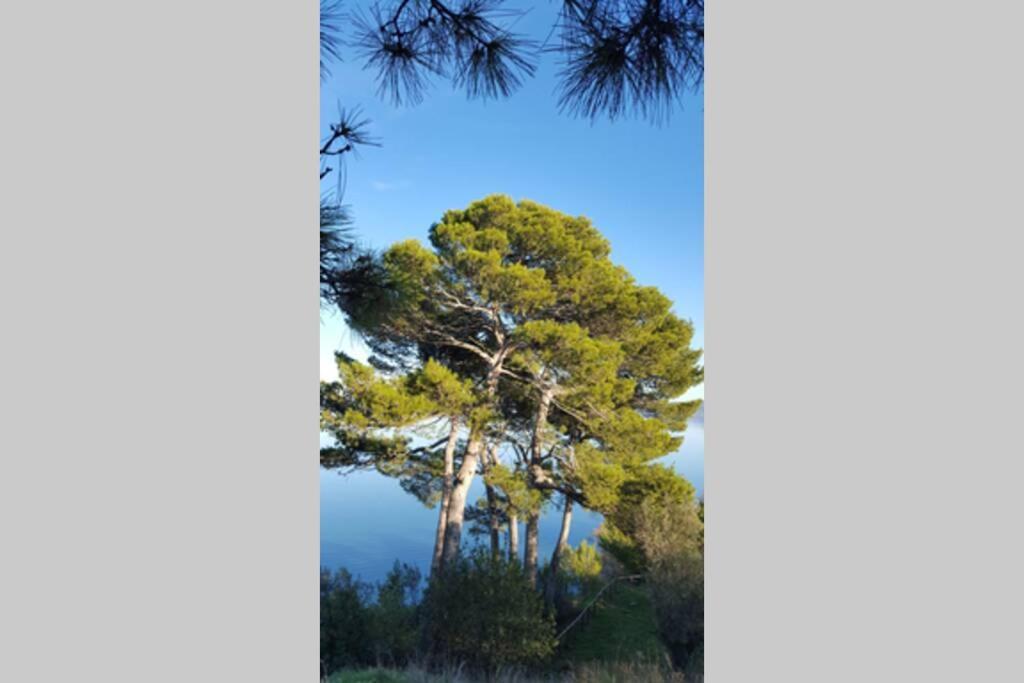 Bellavista La Tua Romantica Vacanza Sul Trasimeno Castiglione del Lago Extérieur photo