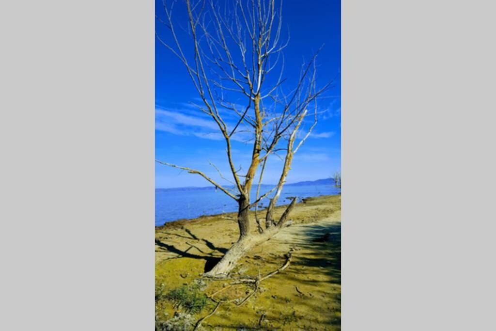 Bellavista La Tua Romantica Vacanza Sul Trasimeno Castiglione del Lago Extérieur photo