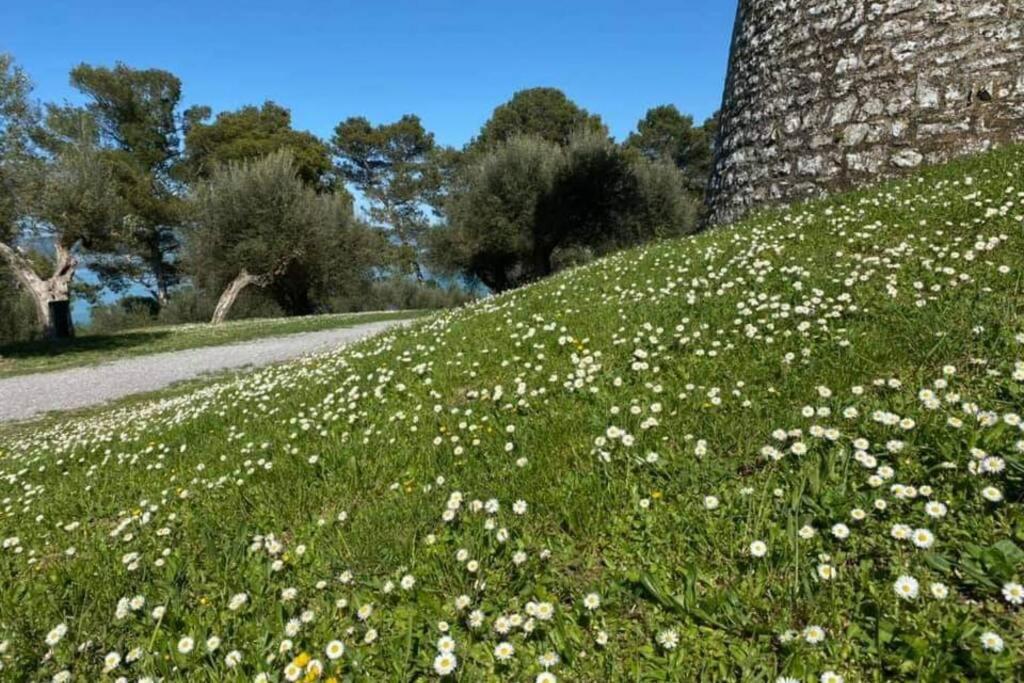 Bellavista La Tua Romantica Vacanza Sul Trasimeno Castiglione del Lago Extérieur photo