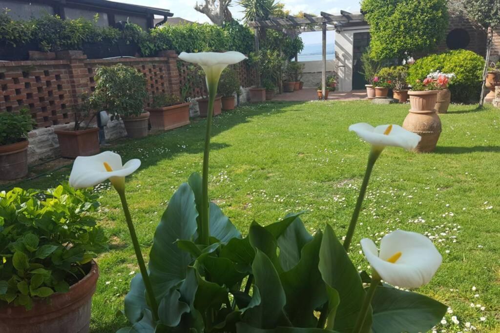 Bellavista La Tua Romantica Vacanza Sul Trasimeno Castiglione del Lago Extérieur photo