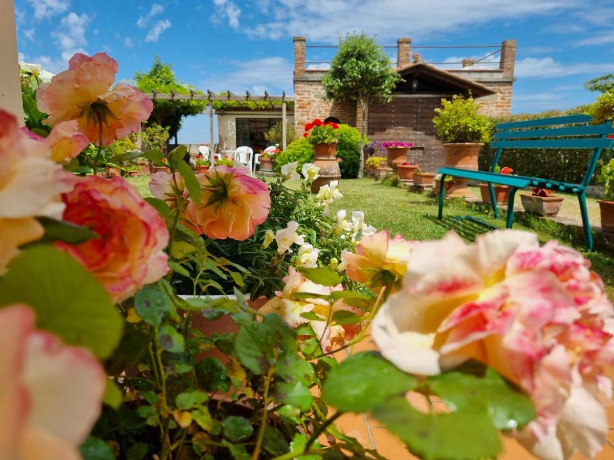 Bellavista La Tua Romantica Vacanza Sul Trasimeno Castiglione del Lago Extérieur photo