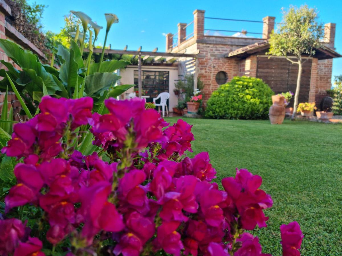 Bellavista La Tua Romantica Vacanza Sul Trasimeno Castiglione del Lago Extérieur photo